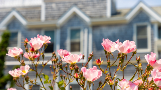 Boost Curb Appeal: Key Spring Fixes to Wow Buyers | Laffey Real Estate